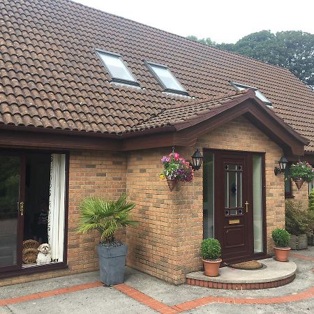 더글러스 The Firs - Englefied Studio B&B 외부 사진