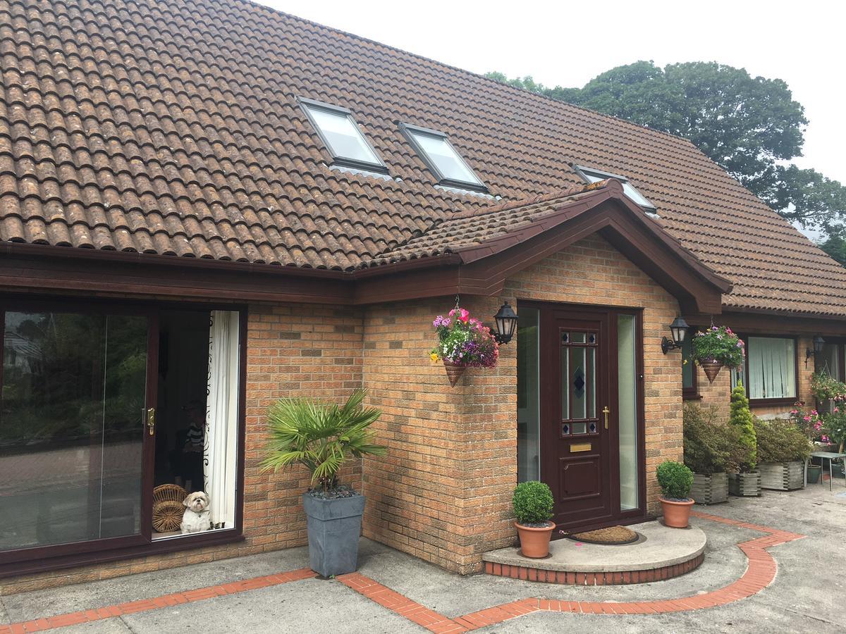 더글러스 The Firs - Englefied Studio B&B 외부 사진